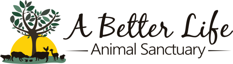 A Better Life Animal Sanctuary